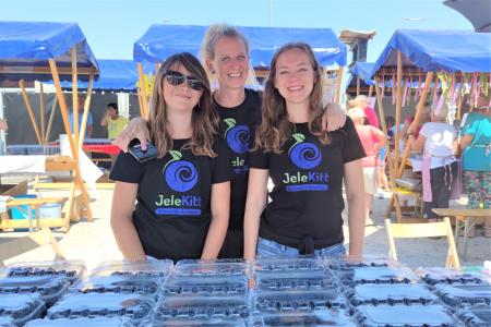 Borovnice - stojnica